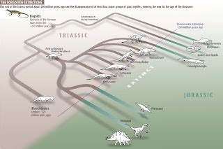 The Dragon's Tales: Triassic-Jurassic Boundary Extinction had Nasty ...