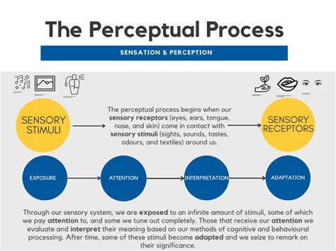 The Perceptual Process – Introduction to Consumer Behaviour