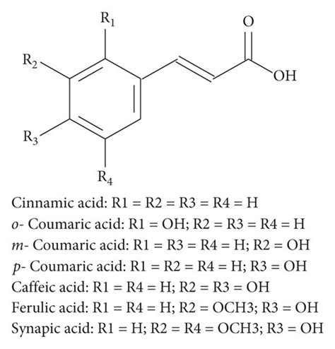 Chemical structure of major cinnamic acids. Cinnamic acid: R1 = R2 = R3... | Download Scientific ...