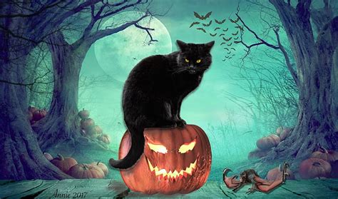 Discover 82+ black cat halloween wallpaper - in.coedo.com.vn