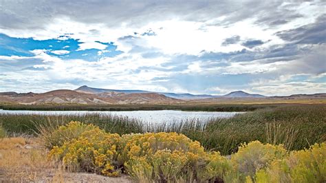 Sheldon National Wildlife Refuge | Denio Nevada | Sheldon NWR