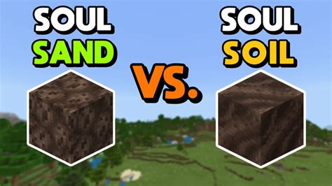 What is the difference between soul sand and soul soil? - Rankiing Wiki ...