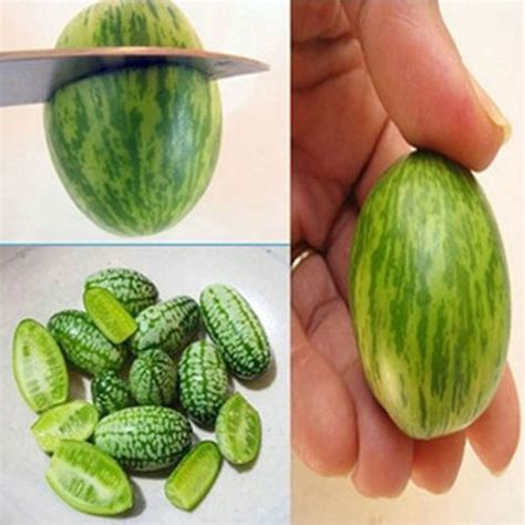 10pcs Super Mini Watermelon Seeds Thumb Seeds - US$2.00