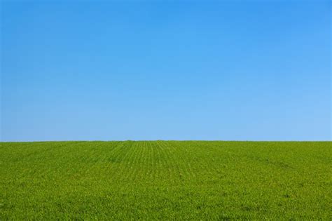 Kostenlose foto : Landschaft, Natur, Gras, draussen, Horizont, Himmel, Feld, Rasen, Wiese ...