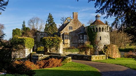 HD wallpaper: England, Narcissus, Ruined, Daffodil Castle | Wallpaper Flare