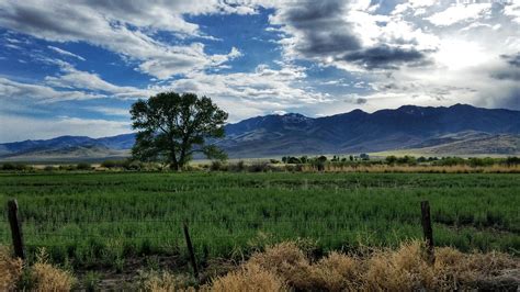 Paradise Valley, Memorial Day 2018 | Lake tahoe nevada, Lake tahoe ...