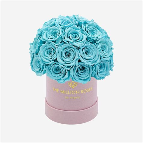 Basic Light Pink Suede Superdome Box | Turquoise Roses | The Million Roses