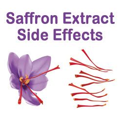 Buy Satiereal Saffron Extract: Side Effects Of Saffron Extract