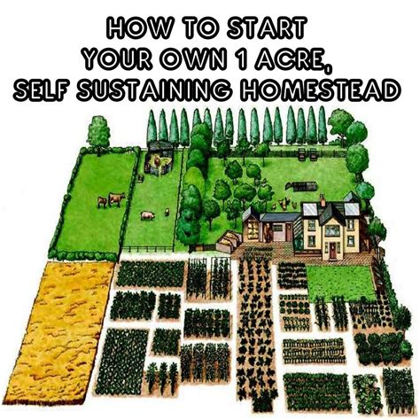 How To Start Your Own 1-Acre, Self-Sustaining Homestead | Farm plans, Backyard farming, Farm layout