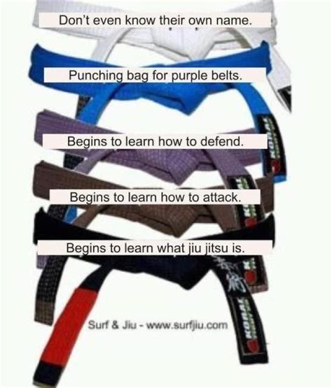 jiu jitsu belt colors meaning - We Have The Greatest Biog Photography