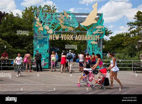 New York Aquarium in Coney Island New York Stock Photo - Alamy