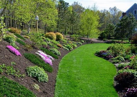 Pin by Susie McNeel Thornton on Gardening with Flowers | Steep hill landscaping, Backyard hill ...