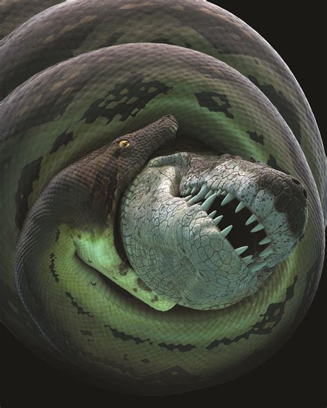 'Titanoboa: Monster Snake' slithers into Morrill Hall Feb. 22 | News Releases | University of ...