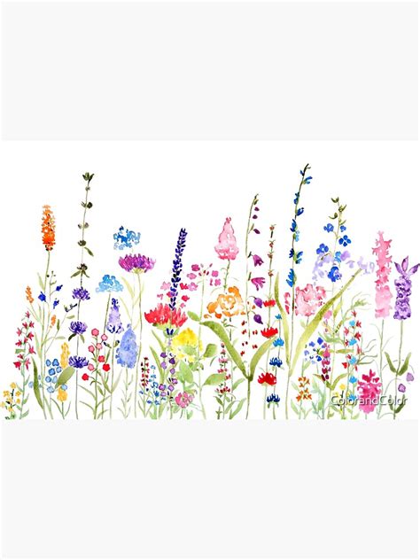 "colorful wild flower field " Art Print for Sale by ColorandColor ...