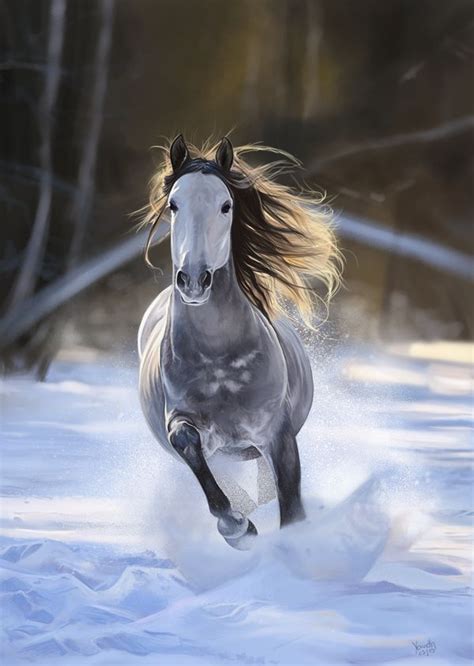 Pin by SimplySiRi on Photography | Horses, Horses in snow, Pretty horses