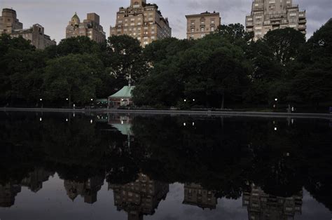 Free stock photo of central park, city sunset, new york city