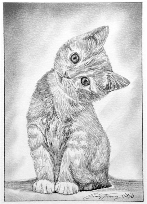Kitten Sketch by Craig Tracy