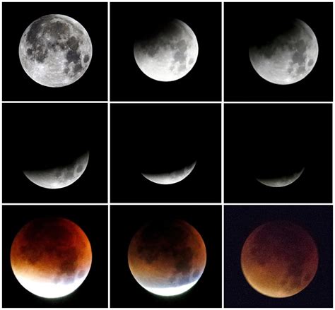 How to watch the 'blue moon' lunar eclipse | CBC News