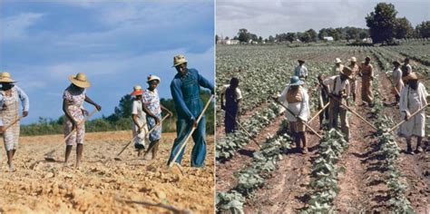 Color photos show the lives of the Sharecroppers during the Great ...