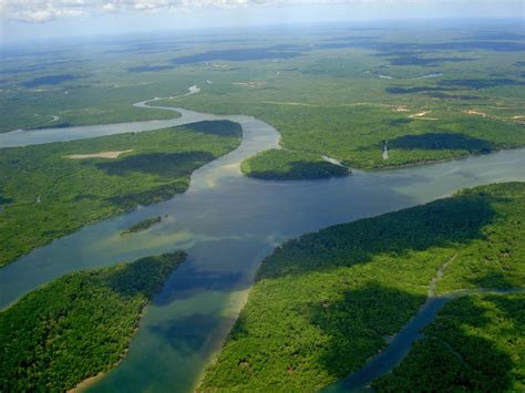 Amazon River - Source, Tributaries, Basin | Britannica