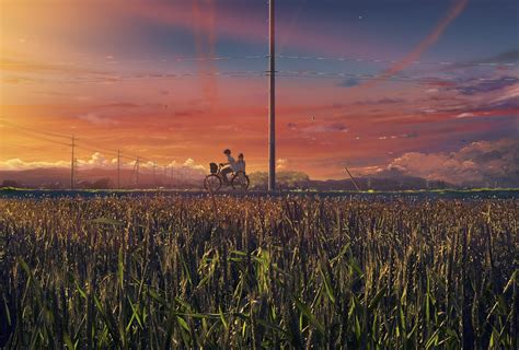 Corn field, anime, landscape HD wallpaper | Wallpaper Flare