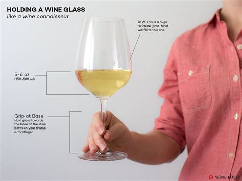 How to Hold a Wine Glass Civilized | Wine Folly | Wine folly, Wine basics, Wine