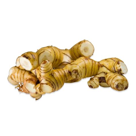 Fresh Galangal Rhizomes for Sale | Marx Foods