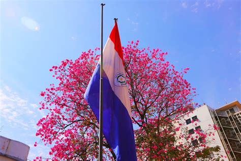 Este sábado se conmemora el Día de la Bandera Paraguaya - .::Agencia IP::.