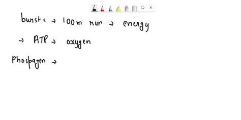 SOLVED: During short bursts of intense activity (i.e., 100m run), the main energy system that ...