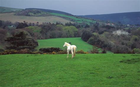 Ireland Countryside Wallpapers - Top Free Ireland Countryside ...