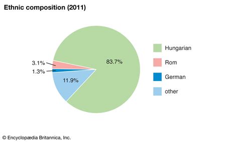 Major Ethnic Groups In Hungary