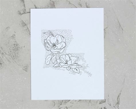 Louisiana Magnolia State Flower Drawing Giclee Print by annatovar