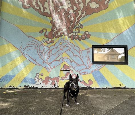 Graffiti, Murals, and More! A Portland Street Art Guide — Sick Girl Travels