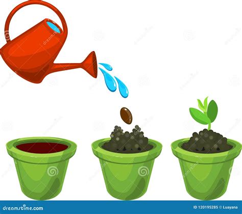 Appearance of Green Sprout in a Flower Pot after Planting and Watering the Seed Stock Vector ...