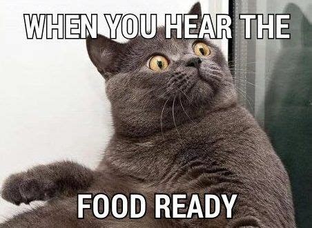 when-the-food-is-ready-to-eat #thanksgiving #memes | Funny thanksgiving ...