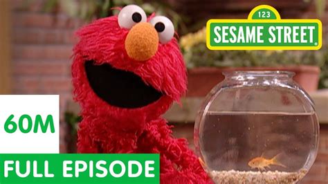 Elmo Sesame Street Baby Bear