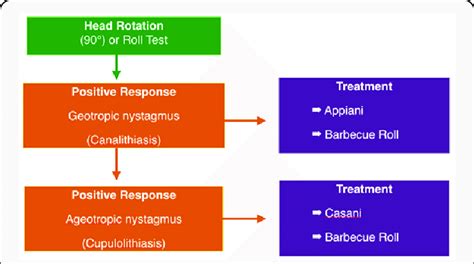 When presented with differing patterns of nystagmus, different... | Download Scientific Diagram