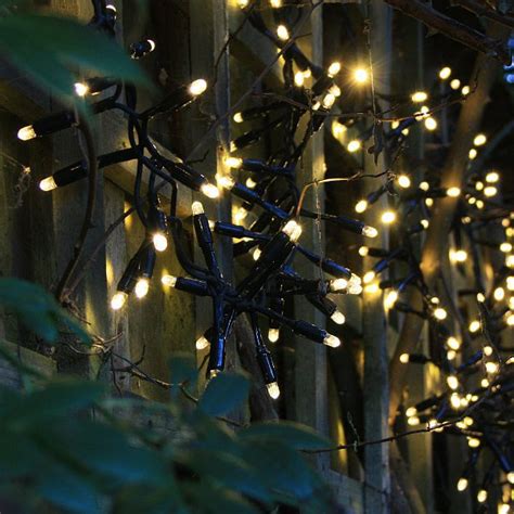 Cluster Fairy Lights Outdoor | Christmas Direct