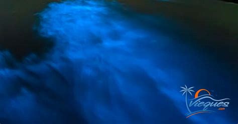 Experience the Magic of Mosquito Bay…The Brightest Bioluminescent Bay in the World | Vieques