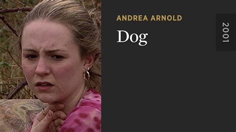 Directed by Andrea Arnold - The Criterion Channel