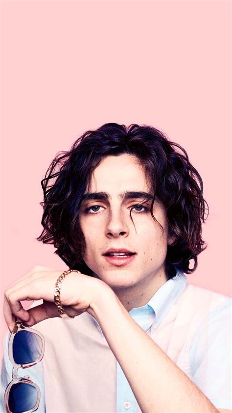 #timotheechalamet #chalamet #aesthetic Beautiful People, Monat Hair ...