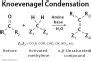 Knoevenagel Condensation: Definition, Examples and Mechanism