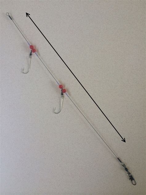 Fishing Rigs - Drop Shot Dbl 15SR | 123 Fishing Rigs, USA