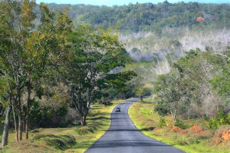 Bandipur National Park Tourism (2024) Tiger Reserve, Wildlife Sanctuary