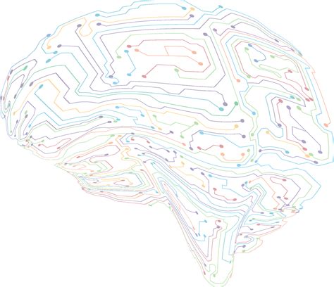 Frontiers in Neural Circuits