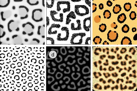 Visual comparison of generated leopard spots from the literature: top ...