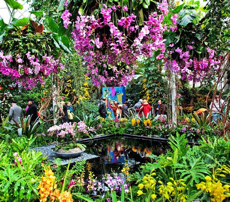 Stunning photos from the New York Botanic Garden’s annual Orchid Show | OverSixty