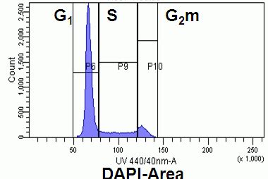 Cell Cycle Analysis, Flow Cytometry Core Facility