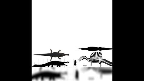 Sarcosuchus And Spinosaurus Size Comparison - YouTube