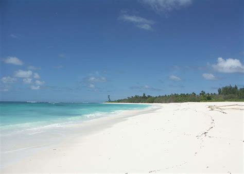 Bird Island - The Seychelles